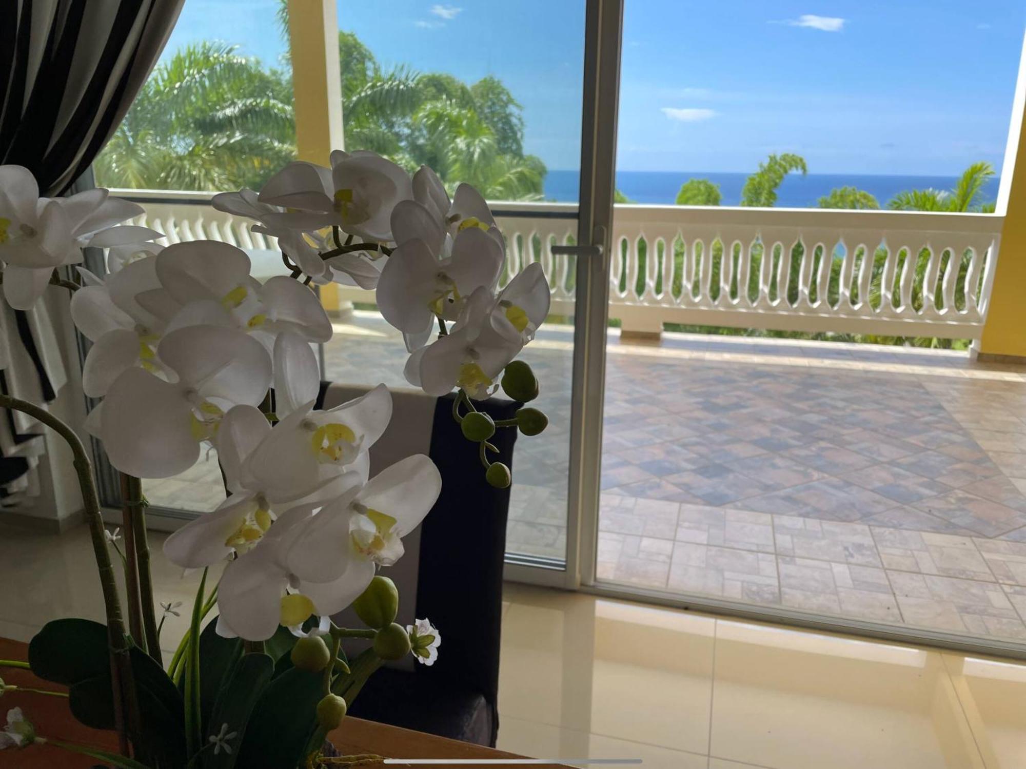 Spring Garden Mobay Resort 몬테고 베이 외부 사진